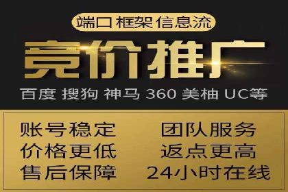 百度推广实战攻略：案例与策略